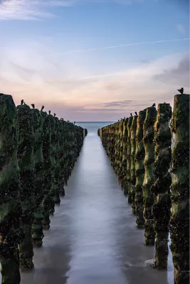 Welkom in de zee, de foto