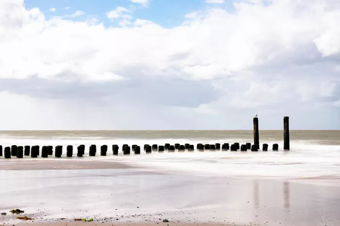 Meeuw op de hoogste van een rij donkere strandpalen in de branding, onder witte wolken