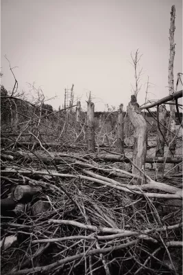 Dorstig land, de foto
