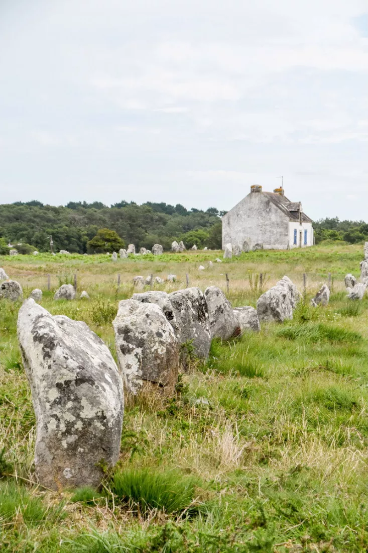 Rij menhirs met korstmos in een grasveld, met op de achtergrond een wit huisje met blauwe luiken.