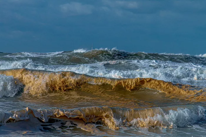 Golvende, goudbruine golven met witte schuimkoppen onder een donkerblauwe stormlucht.