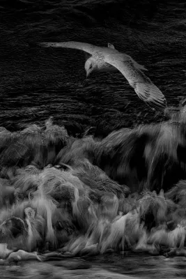 Vleugels boven Schuimend Water, de foto