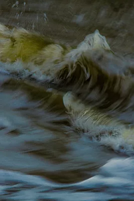 Krullende Golven in Groen, de foto