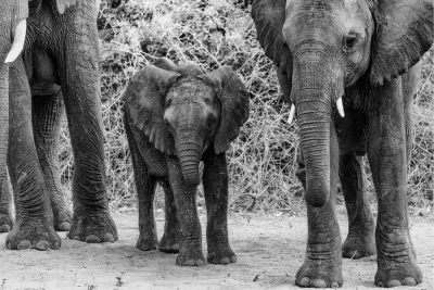 Protective Love, de foto