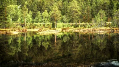 Double Wilderness, de foto
