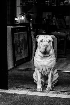 Wrinkly Doorkeeper, de foto