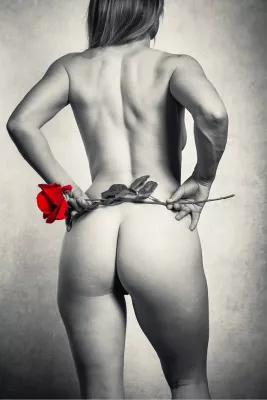 De zachtheid van rood, de foto
