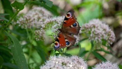 Kleuren van de Natuur, de foto