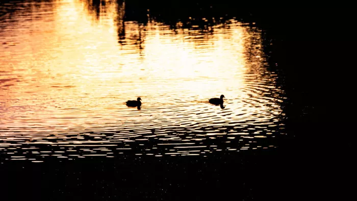 Twee silhouetten glijden rustig over het water in het warme avondlicht