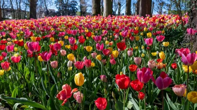 Voorjaarspalet, de foto