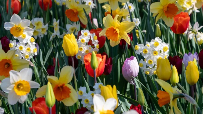 De natuur schildert met haar mooiste kleuren