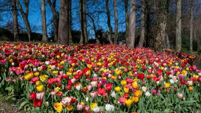 Kleurenlandschap, de foto