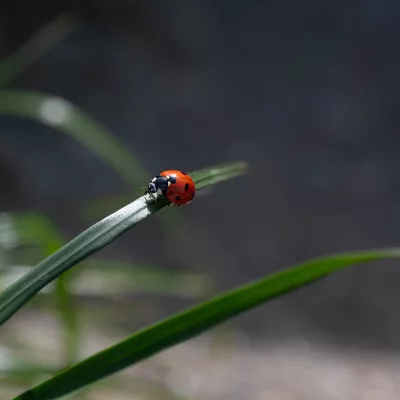Onderweg, de foto