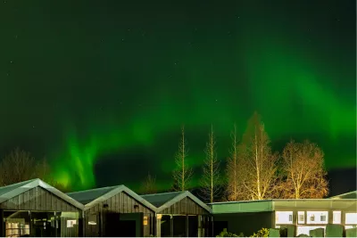 Verlichte berken onder groene slierten, de foto