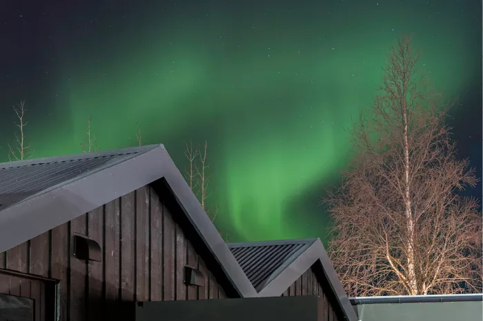 Donkere puntdaken van houten huisjes en een aangelichte berk onder groen noorderlicht