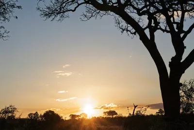 Zonsondergang in Krugerpark, de foto