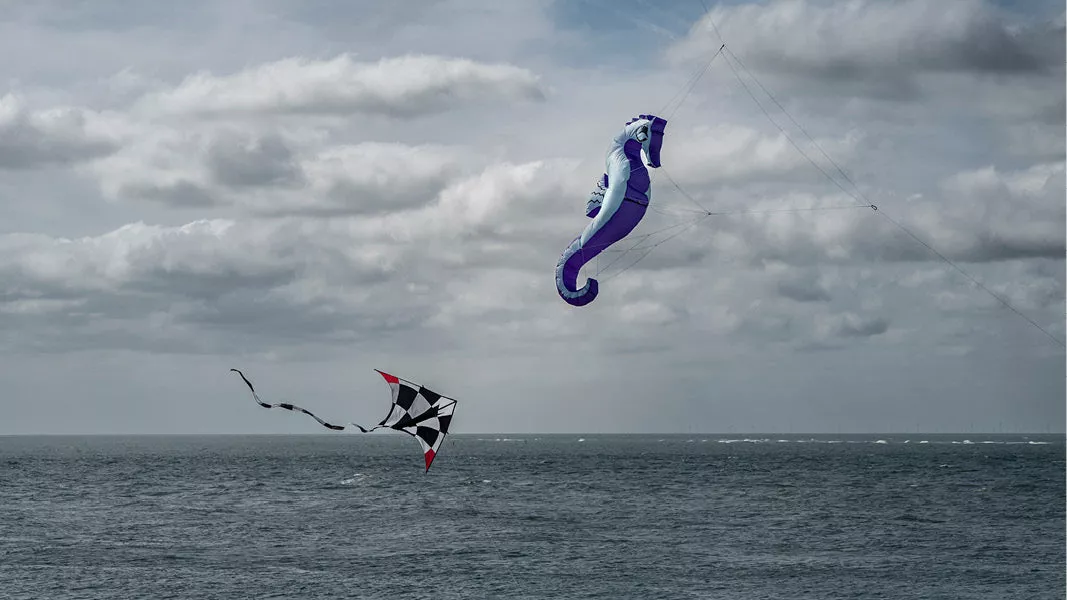 Paarse zeepaardjesvlieger en een geblokte vlieger boven zee onder grijze wolken