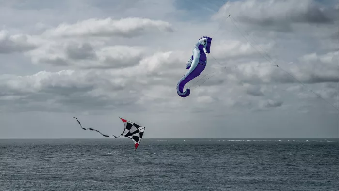 Paarse zeepaardjesvlieger en een geblokte vlieger boven zee onder grijze wolken