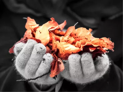 Herfst in handen, de foto
