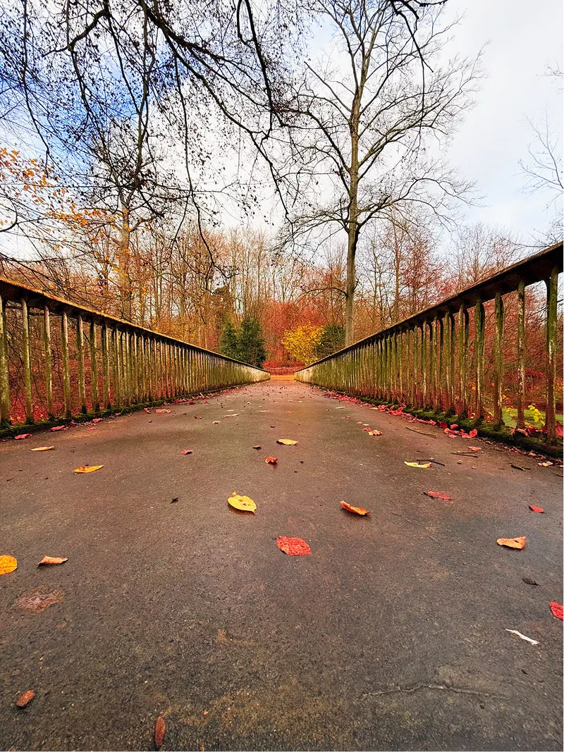 Brug met houten leuningen naar bomen in herfstkleuren, staand formaat