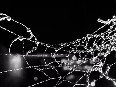 Waterig web, de foto