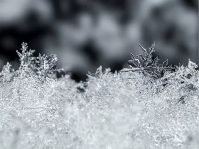 Sneeuwvlokken Macro, de foto