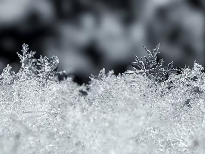Opgestapelde sneeuwvlokken en ijskristallen in macro tegen een donkere achtergrond