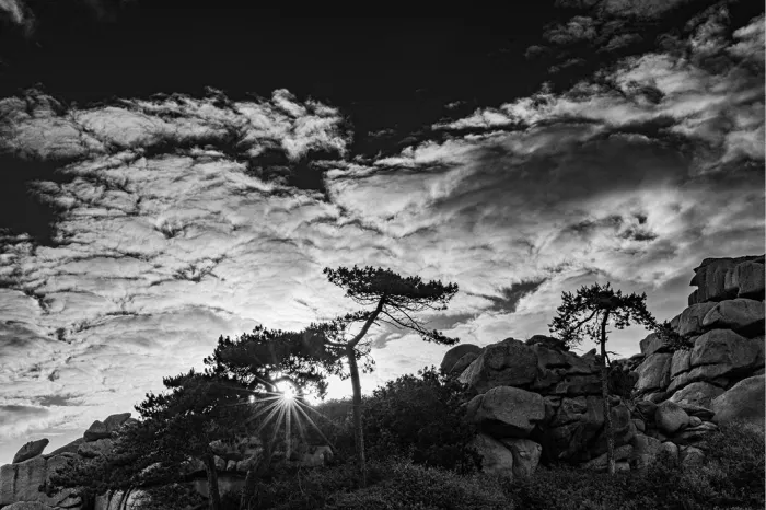 Dennen en grote rotsblokken als silhouet tegen een wolkenlucht met een felle zonnester