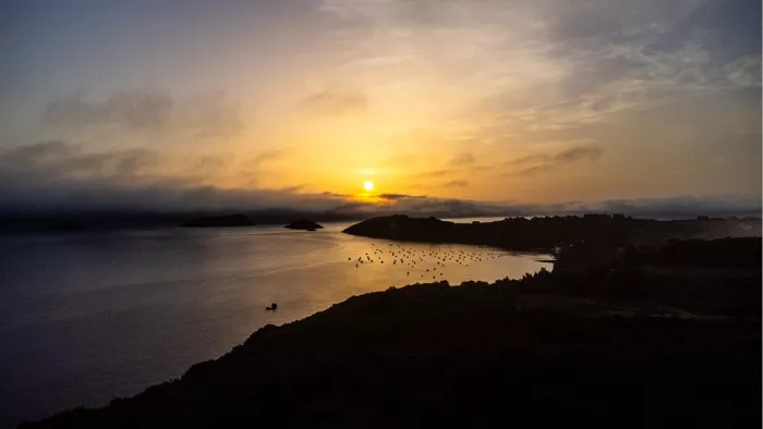 Baai met eilandjes en boeien in goud tegenlicht, gezien vanaf een donkere beboste kaap