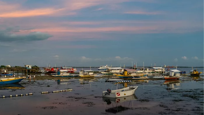Kleurrijke vissersboten op het drooggevallen wad onder een blauwe lucht met roze wolkenstrepen