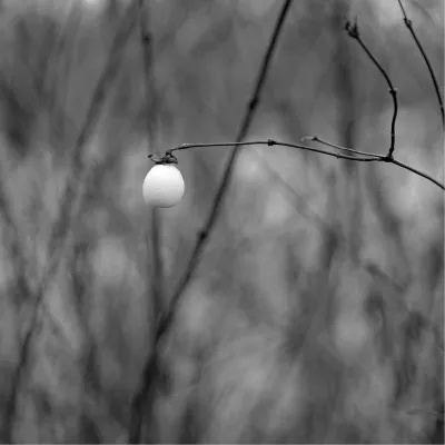 Solitude, de foto