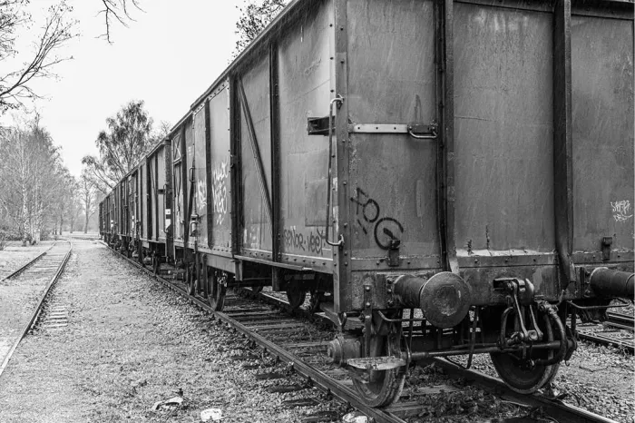 Rij oude goederenwagons met graffiti op een verlaten spoor, in perspectief, in zwart-wit