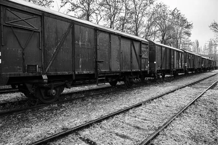 Lange rij donkere goederenwagons op een spoor met kale bomen erachter, in zwart-wit