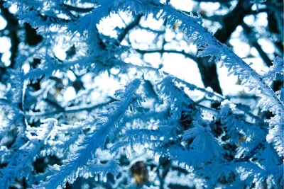 Frozen, de foto