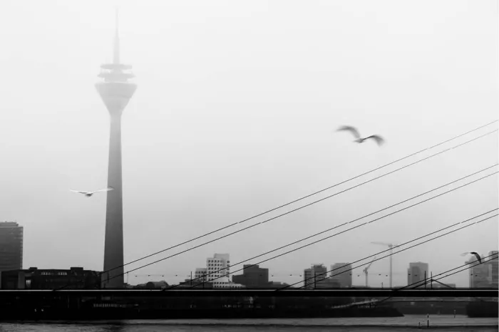 Zendmast in de mist boven een stad aan de rivier, met brugkabels en vliegende meeuwen, in zwart-wit