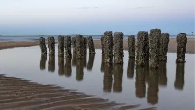 Mosselbedekte palen in getijdenwater, de foto