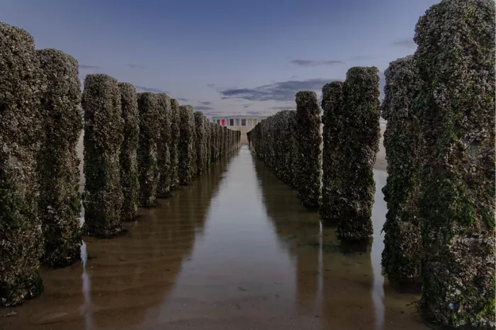 Golfbreker met twee rijen palen vol mosselen bij laag water, in symmetrisch perspectief