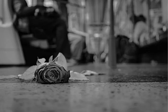 Op de vloer van een druk metrostel ligt een eenzame roos, scherp in beeld gebracht tegen een zachte achtergrond van zittende reizigers die in bewegingsonscherpte vervagen. Het lage standpunt versterkt het emotionele gewicht van de scène: de kwetsbaarheid van de bloem contrasteert met de harde, industriële omgeving van het voertuig.